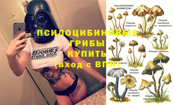 PSILOCYBIN Мегион