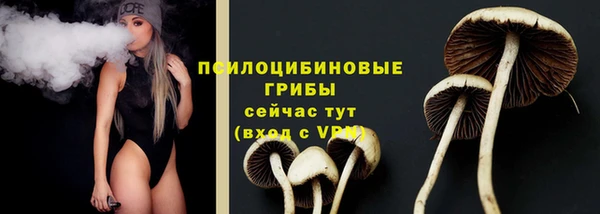 PSILOCYBIN Мегион