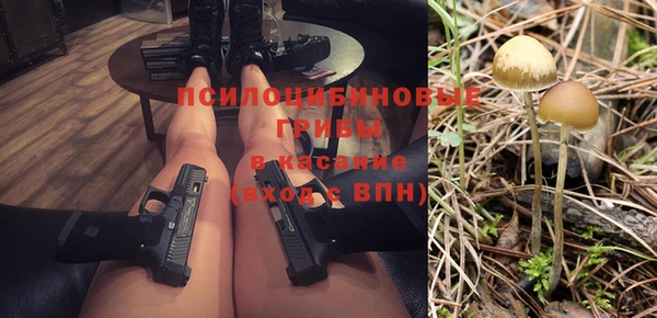 соль курить ск Медвежьегорск