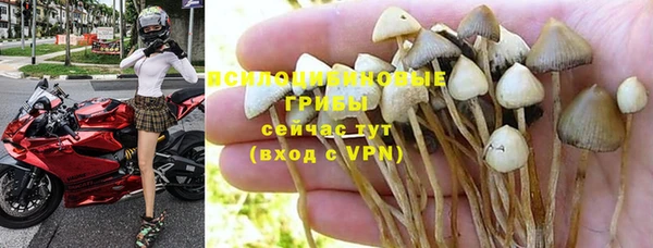 PSILOCYBIN Мегион