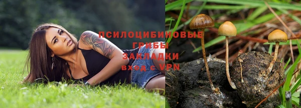 круглые Михайловск
